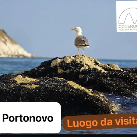 Conero Casa - Di Numana Fronte Mare In Via Litoranea 178 Bis Con Parcheggio Esclusivo Марчелли